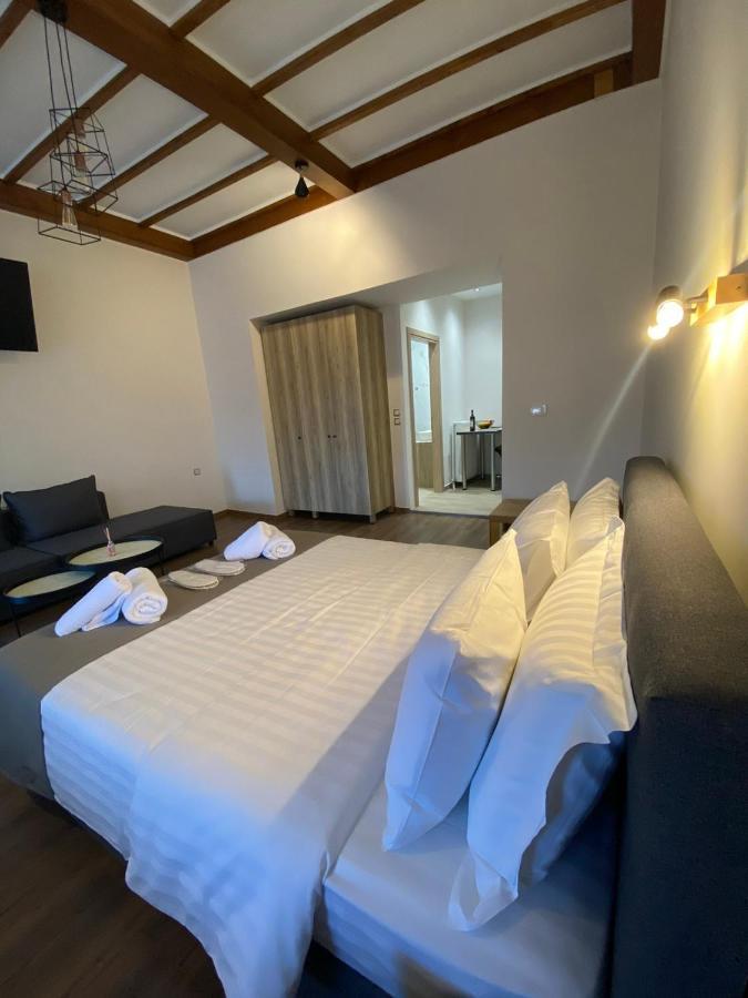 11 Luxury Apartments Metsovo Zewnętrze zdjęcie