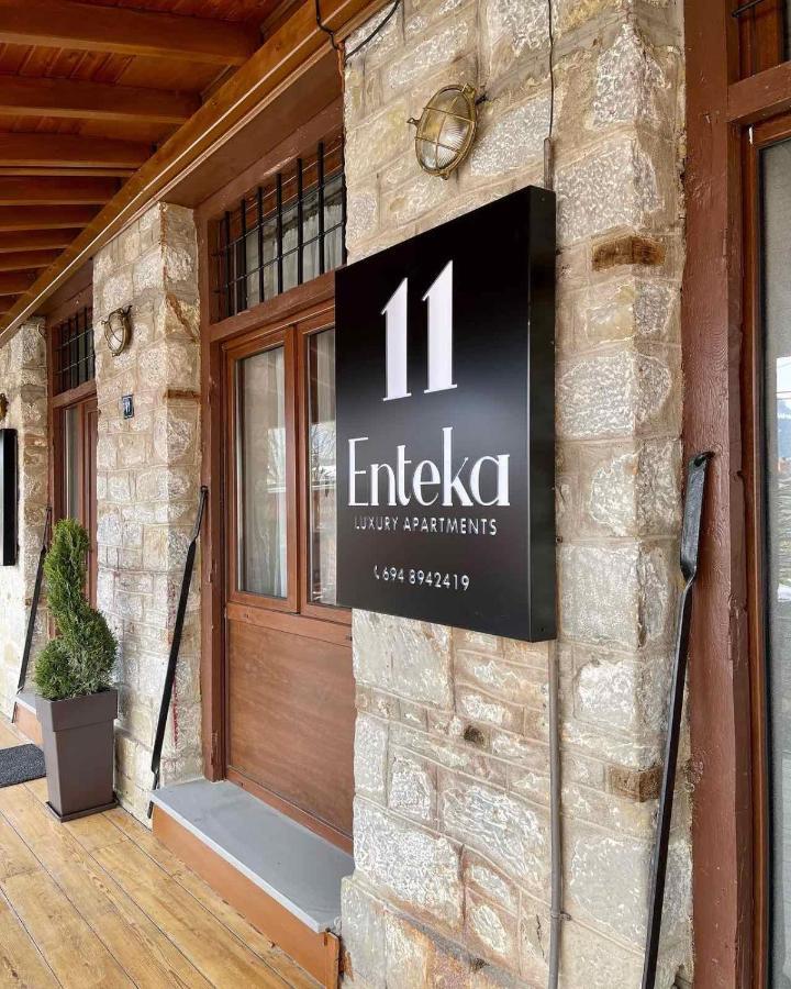 11 Luxury Apartments Metsovo Zewnętrze zdjęcie